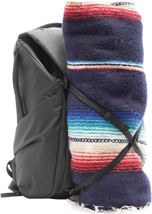 Peak Design Everyday Backpack 20 l v3 Black detail
