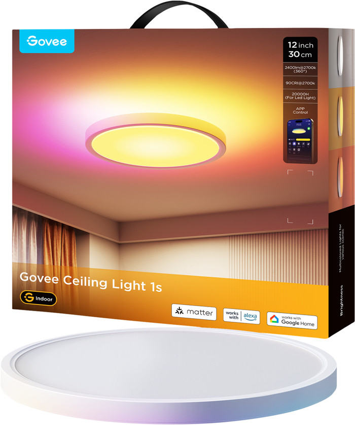 Govee Ceiling Light 12 inches packaging