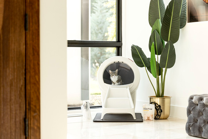 Whisker Automatisches Katzenklo Litter-Robot 4 Weiß produkt in gebrauch