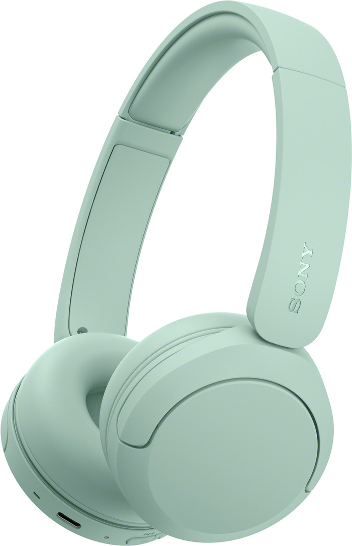 Sony WH-CH530 Mint Main Image
