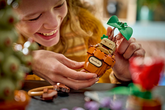 LEGO Harry Potter Schloss Hogwarts: Kräuterkunde-Pflanzen 76474 produkt in gebrauch