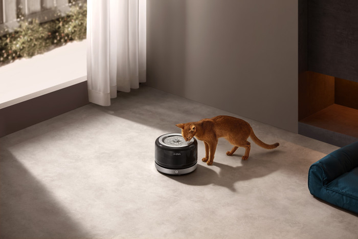 Mova Trinkbrunnen WF20 Pro Schwarz produkt in gebrauch