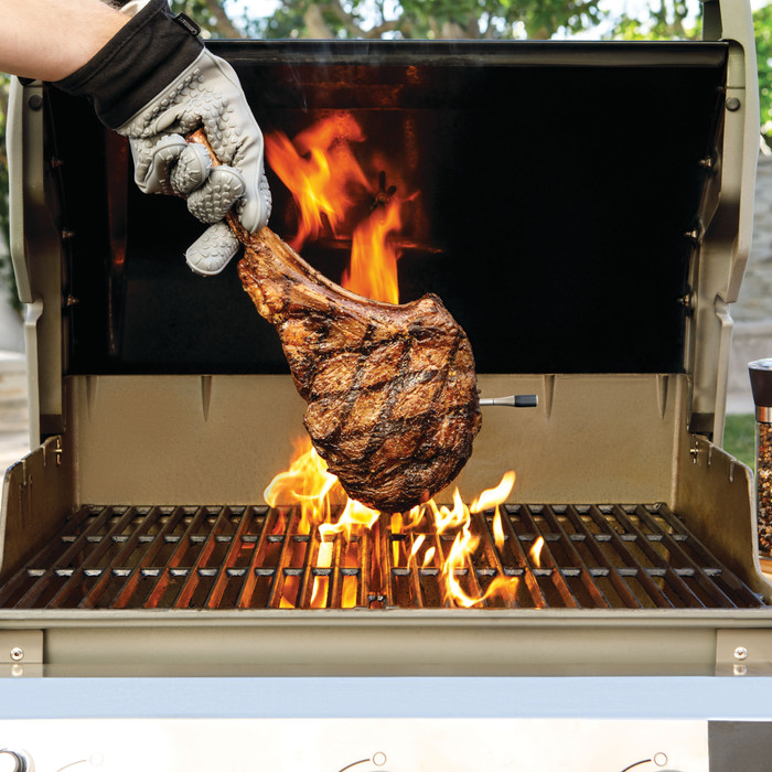 Ninja ProChef WP100EU product in use