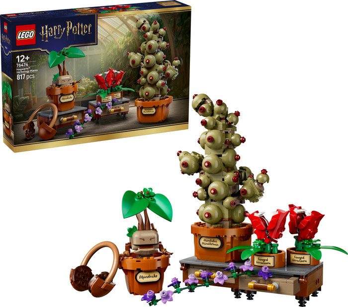 LEGO Harry Potter Schloss Hogwarts: Kräuterkunde-Pflanzen 76474 rechte seite