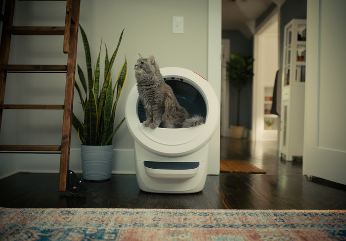 Whisker Automatisches Katzenklo Litter-Robot 4 Weiß produkt in gebrauch