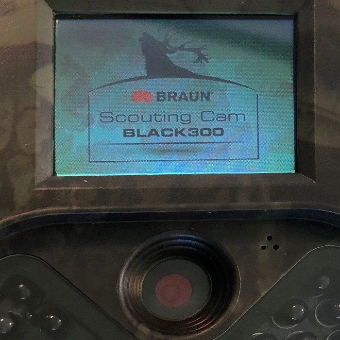 Braun Wild Camera Black300 detail