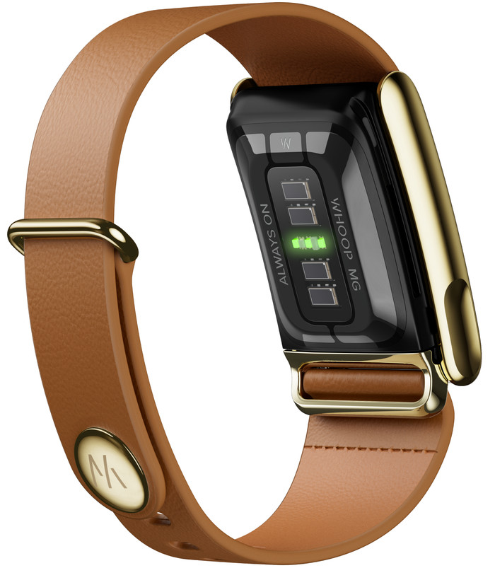 WHOOP MG LeatherLuxe Tapered Band Braun/Gold S/M produkt in gebrauch