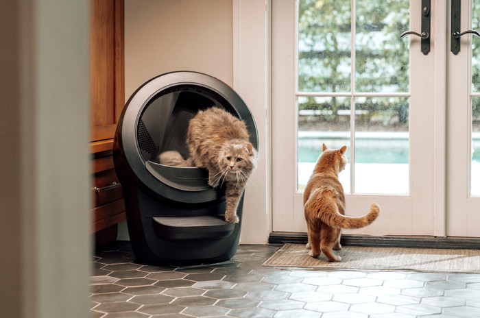 Whisker Litter-Robot 4 Schwarz produkt in gebrauch