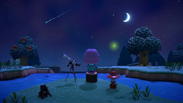 Animal Crossing New Horizons product in use