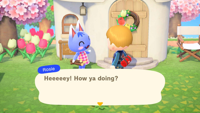 Animal Crossing New Horizons product in use