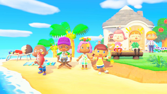 Animal Crossing New Horizons product in use