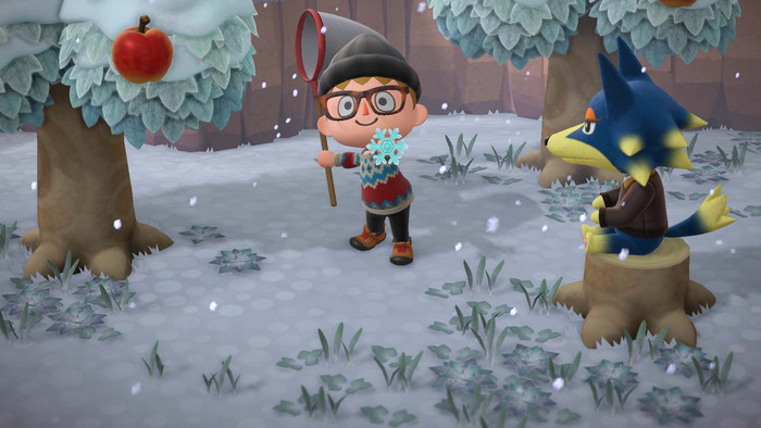 Animal Crossing New Horizons product in use