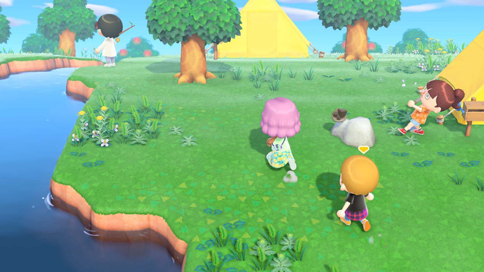 Animal Crossing New Horizons product in use