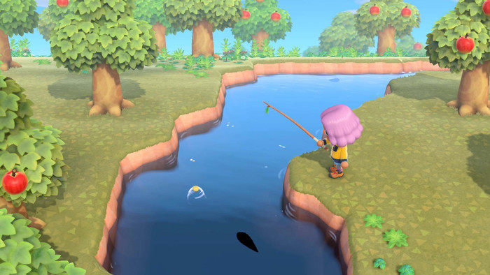 Animal Crossing New Horizons product in use