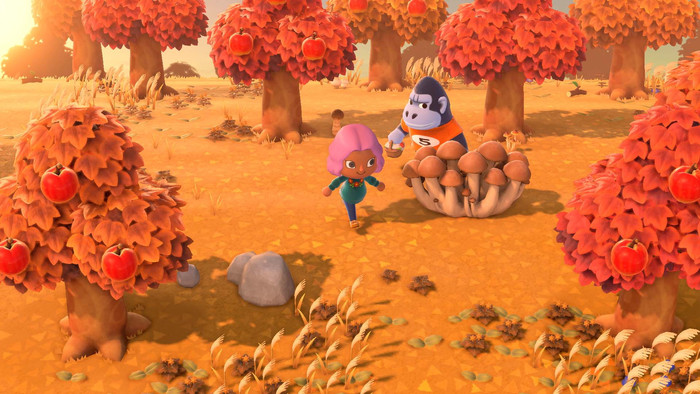 Animal Crossing New Horizons product in use