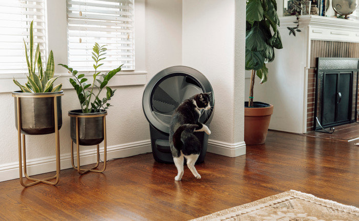 Whisker Litter-Robot 4 Schwarz produkt in gebrauch