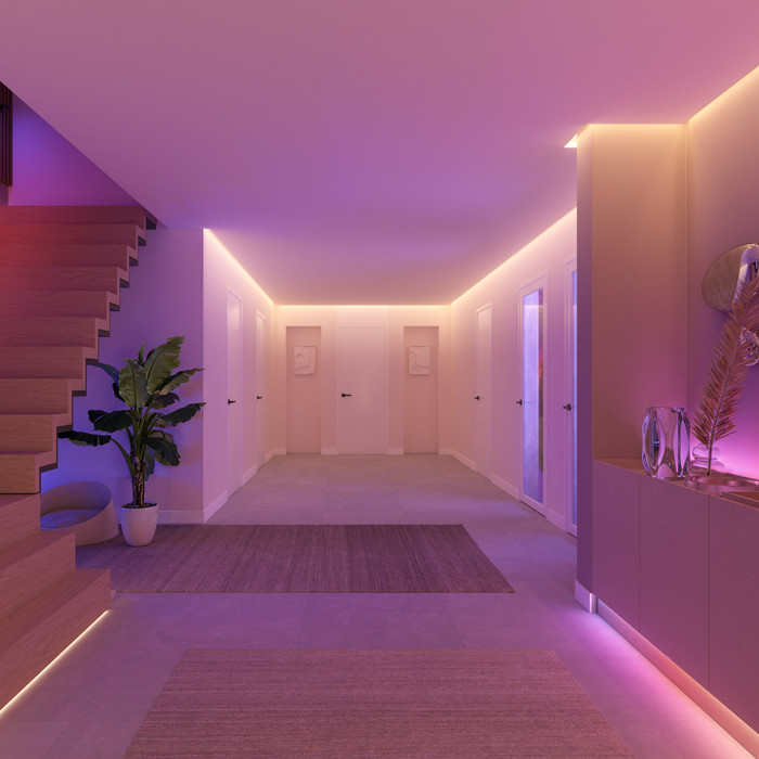 Philips Hue Flux Verlängerungskabel für drinnen 5 Meter visueller lieferant