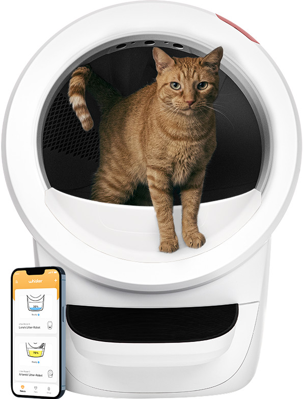 Whisker Automatisches Katzenklo Litter-Robot 4 Weiß visueller lieferant