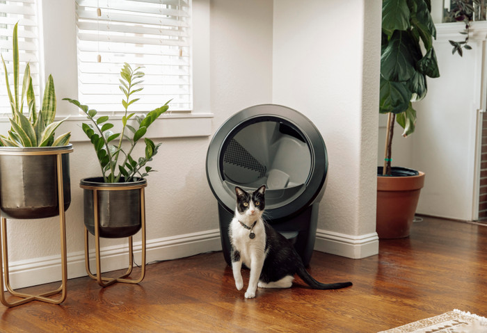 Whisker Litter-Robot 4 Schwarz produkt in gebrauch