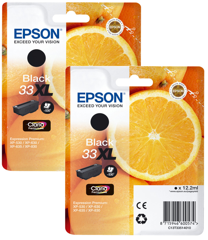 Epson 33XL Patrone Schwarz Doppelpack Main Image