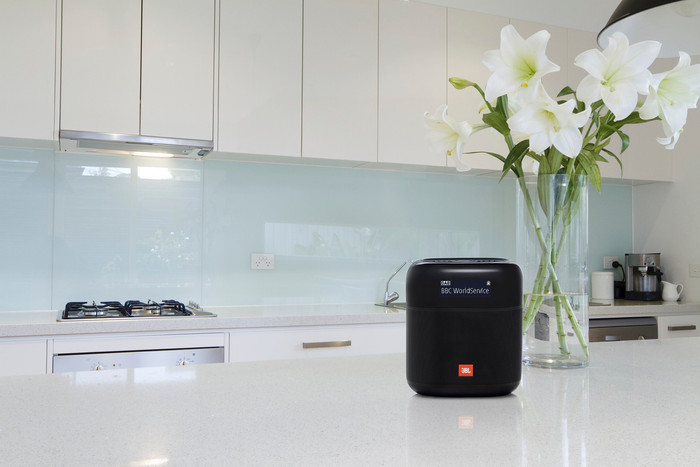 JBL Tuner XL Duo Pack product in use