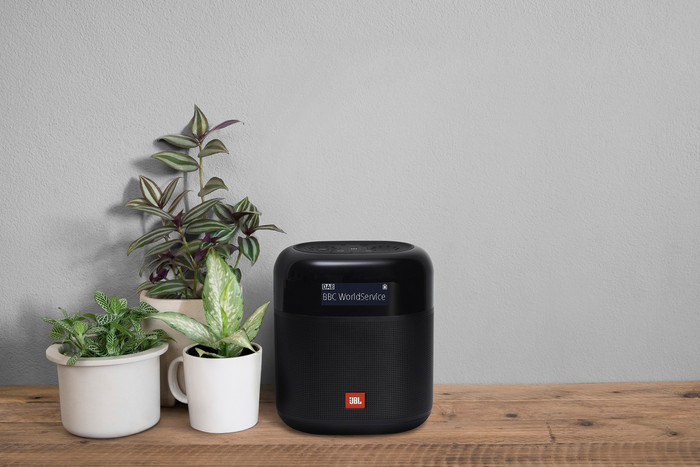 JBL Tuner XL Duo Pack product in use