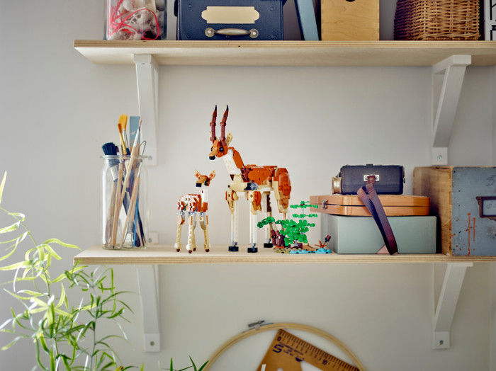 LEGO Creator 3-in-1 Wild Safari Animals 31150 product in use