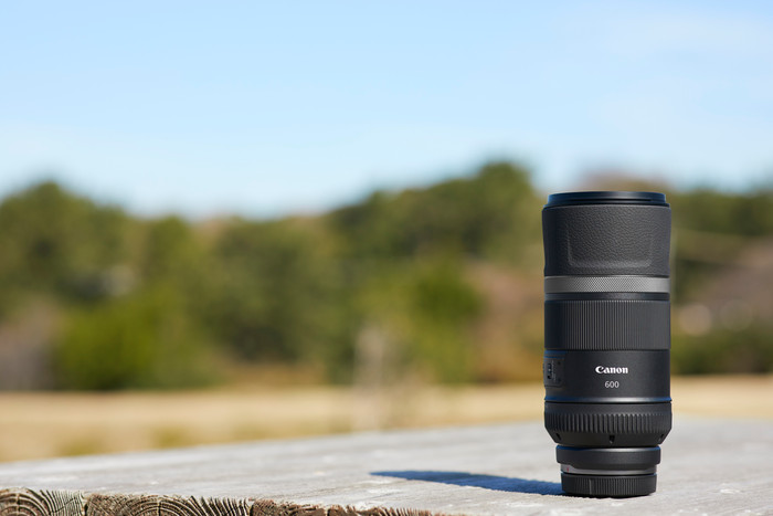 Canon RF 600mm f/11 IS STM null