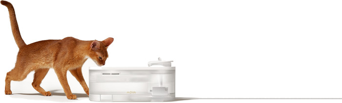 Mova Trinkbrunnen WF10 Pro Weiß produkt in gebrauch