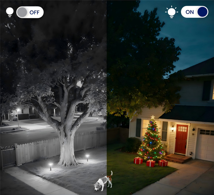 Reolink E540 visueller lieferant