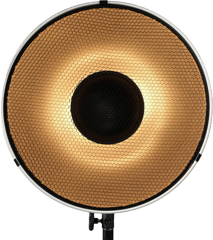 Nanlite BM40 Beauty Dish Reflector produkt in gebrauch