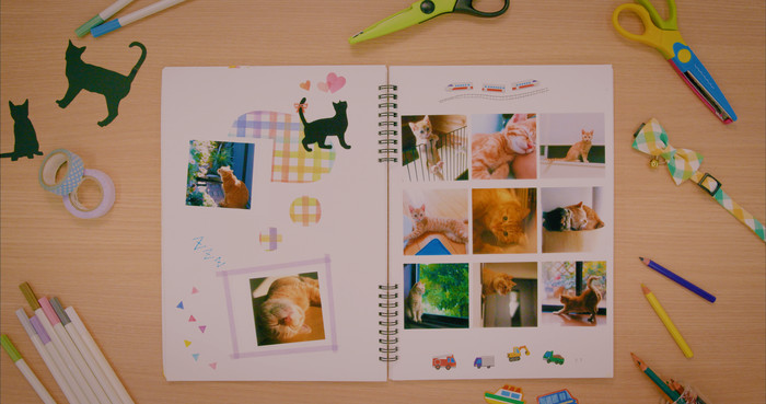 Canon Paper XS-20L product in use