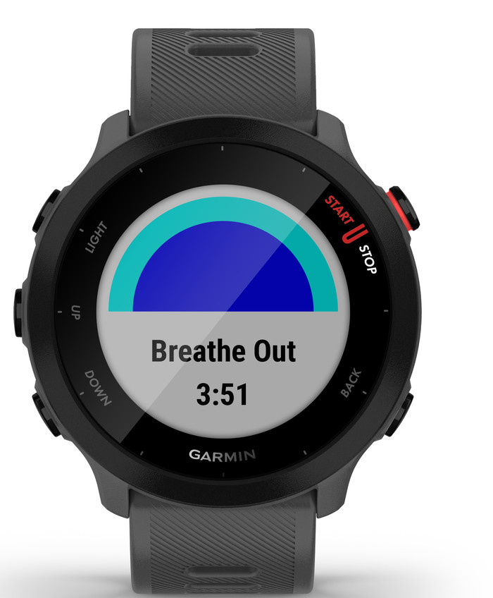 Garmin Forerunner 55 Gray null