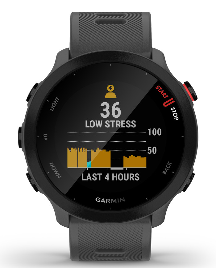 Garmin Forerunner 55 Gray front