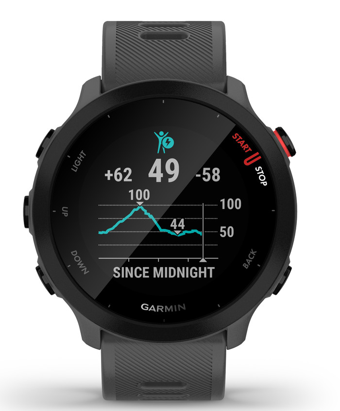 Garmin Forerunner 55 Gray null