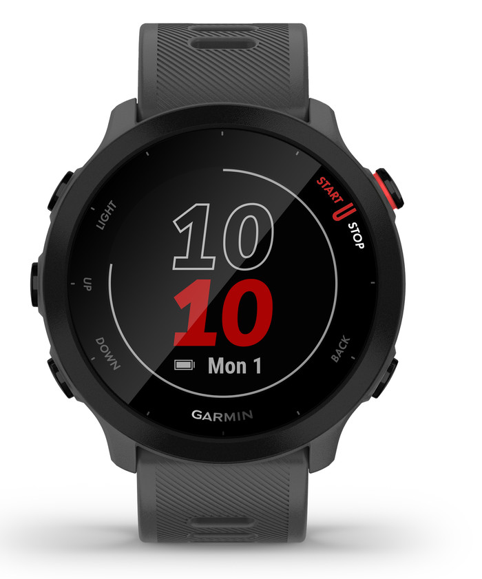 Garmin Forerunner 55 Gray null