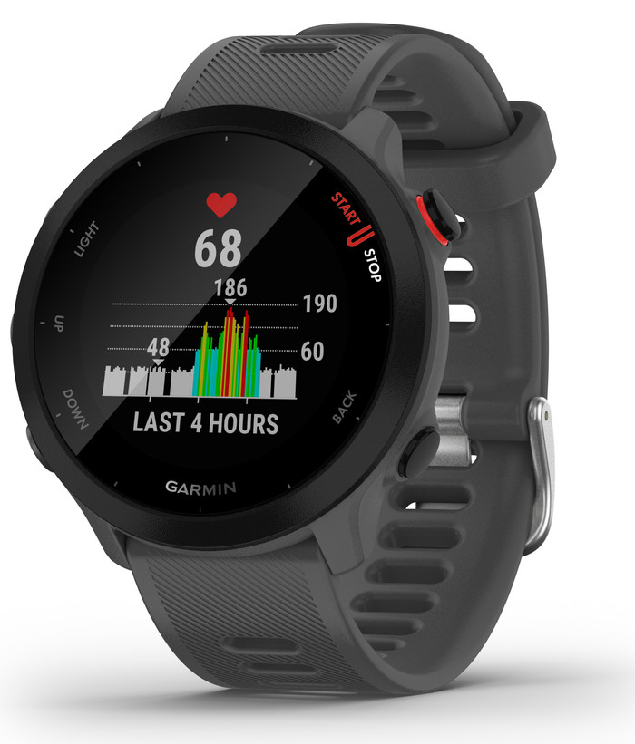 Garmin Forerunner 55 Gray null