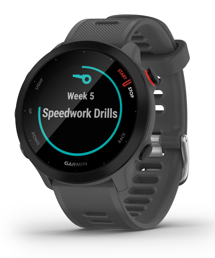 Garmin Forerunner 55 Gray null