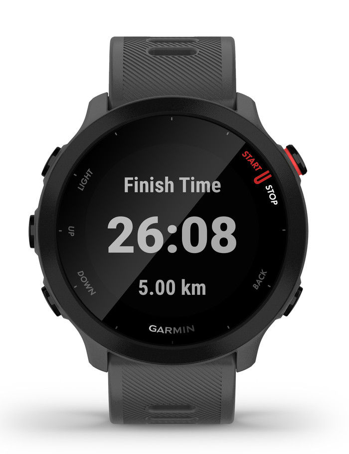 Garmin Forerunner 55 Gray null