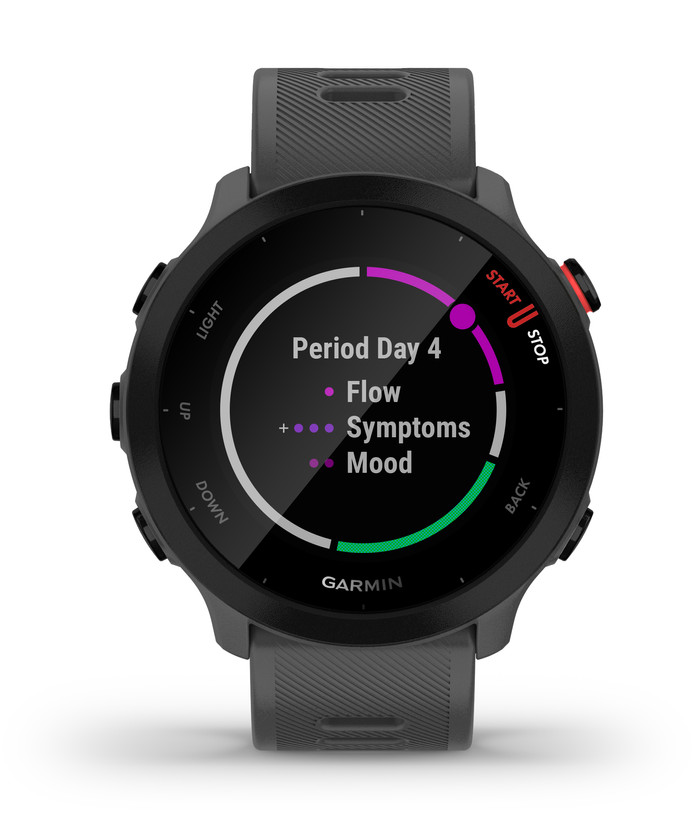 Garmin Forerunner 55 Gray null