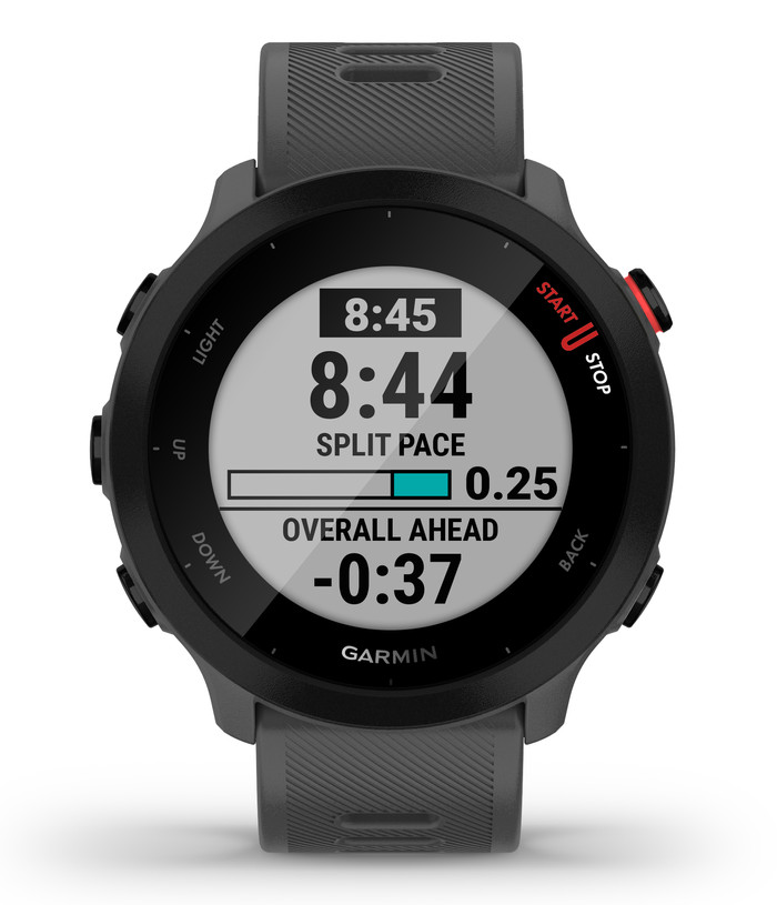 Garmin Forerunner 55 Gray null