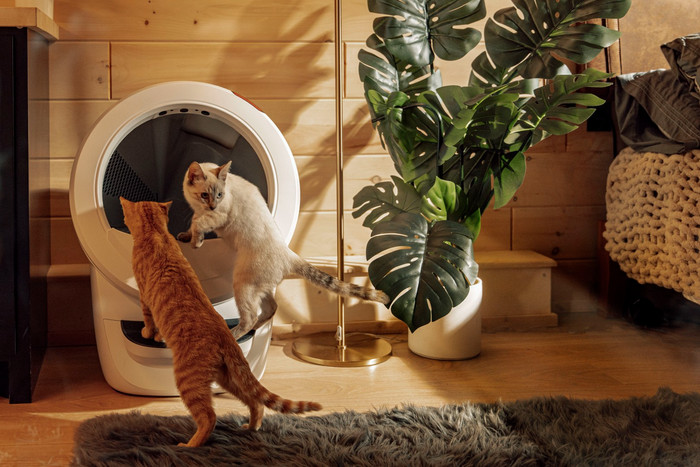 Whisker Automatisches Katzenklo Litter-Robot 4 Weiß produkt in gebrauch