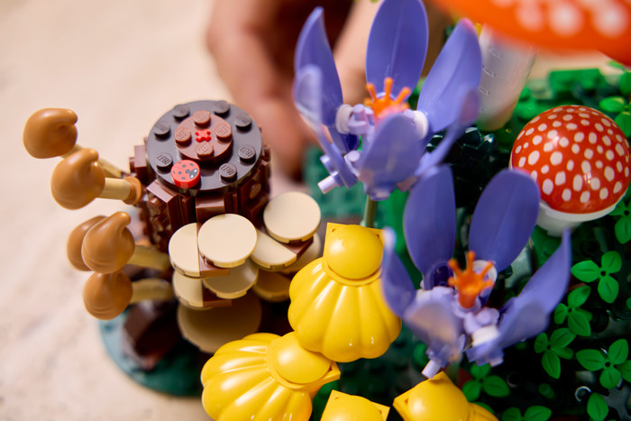 LEGO Botanicals Waldpilze 11505 produkt in gebrauch
