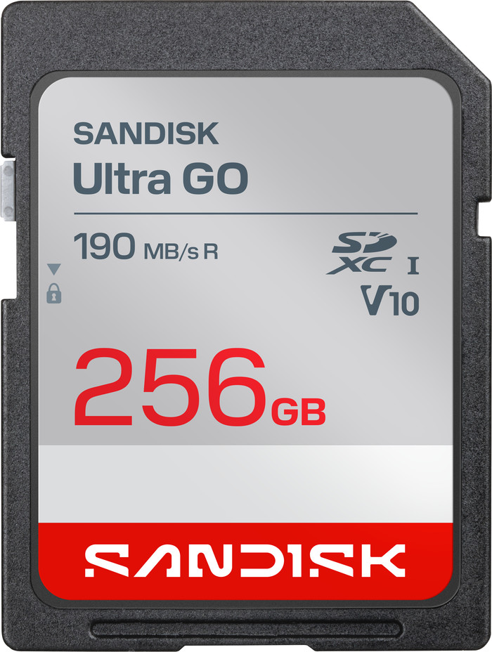 SANDISK Ultra GO SDXC 256GB Main Image