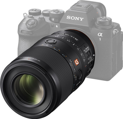 Sony FE 100mm f/2,8 Makro GM OSS produkt in gebrauch