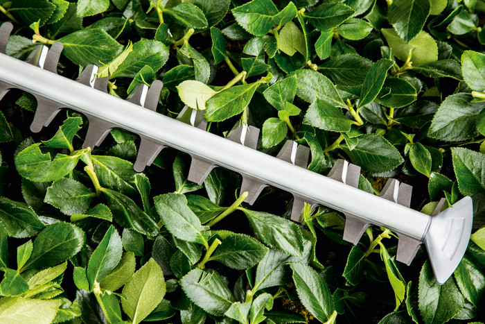 Bosch UniversalHedgeCut 50 produkt in gebrauch