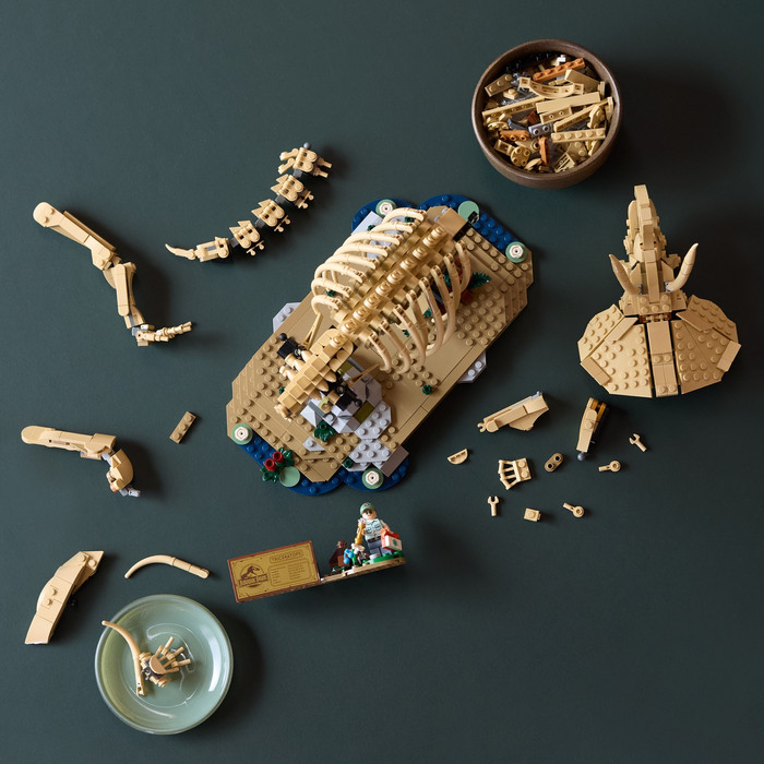 LEGO Jurassic World Dinosaur Fossils Triceratops 77985 product in use