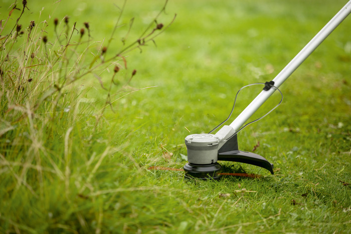 Bosch AdvancedGrassCut 36V-33 (without battery) product in use