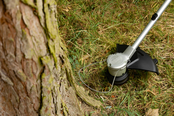 Bosch AdvancedGrassCut 36V-33 (without battery) product in use