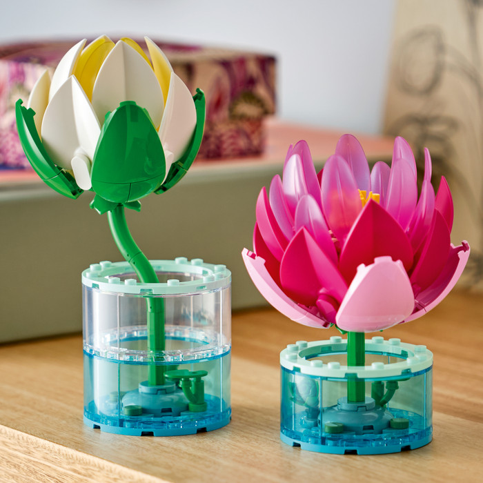 LEGO Botanicals Seerosen 11511 produkt in gebrauch